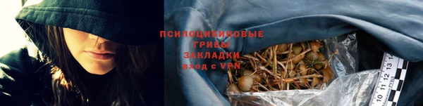 таблы Осташков