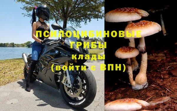 дживик Абаза