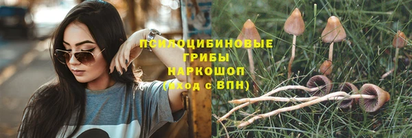 тгк Остров