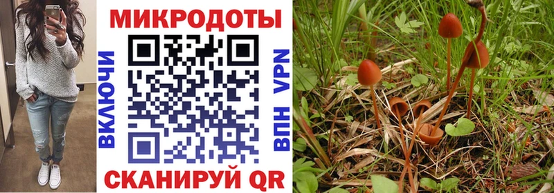 Галлюциногенные грибы Psilocybine cubensis Катайск