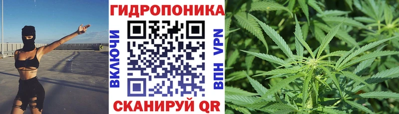 Бошки Шишки LSD WEED Катайск